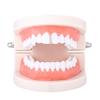 Teeth Braces Heart Shape Cubic Zirconia Men Women Hip Hop Vertical Stick Braces for Halloween