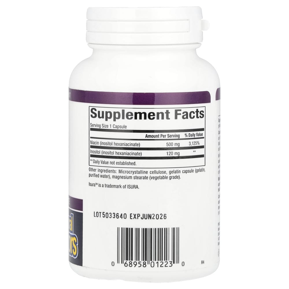 Natural Factors No Flush Niacin 500mg Capsules, 90 Count