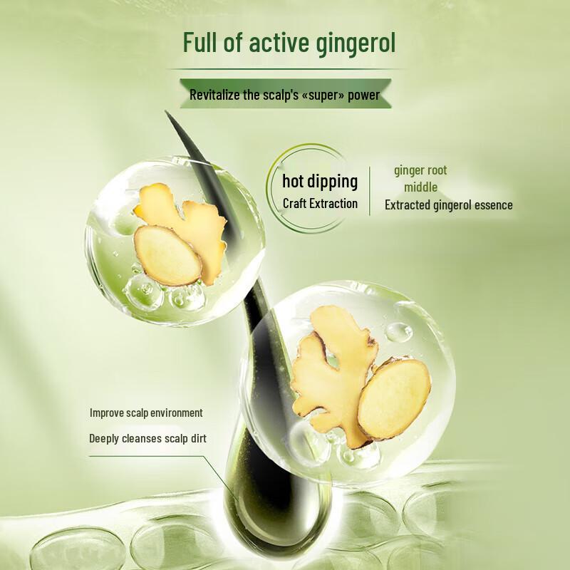 Schwarzkopf Ginger Oil Control Shampoo & Hair Mask Set