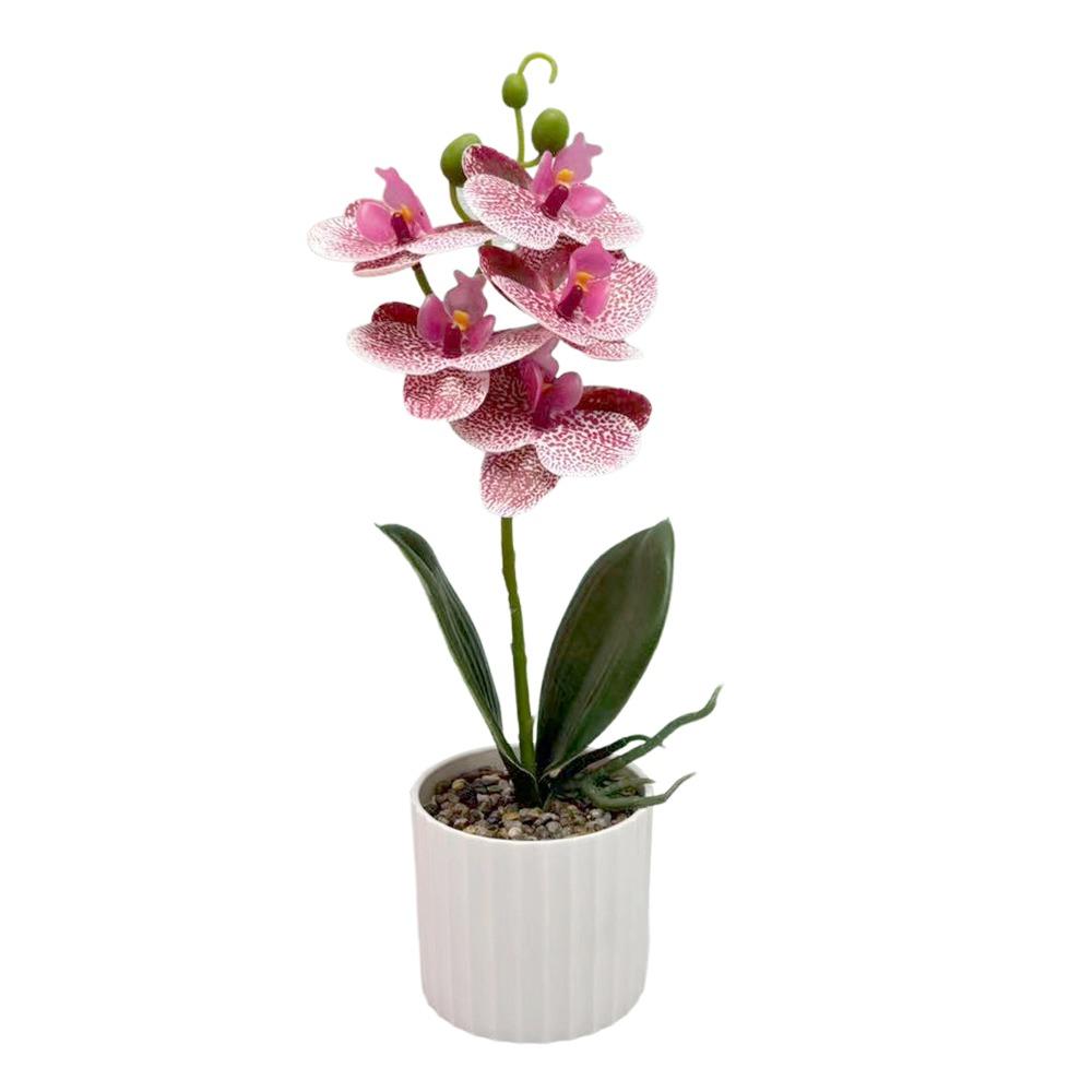 Новый с горшками Искусственная Фаленопсис Миниатюрный Ландшафт Яркий Цвет Искусственная Фаленопсис Горшечное Растение Реалистичный Искусственный Цветок