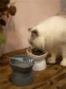 1 Cat Bowl Tall Drinking Dish Cat Pet Food Water Bowl Pet Feeding Cup Pet Feeding Bowl Pet Cat Feeding Supplies