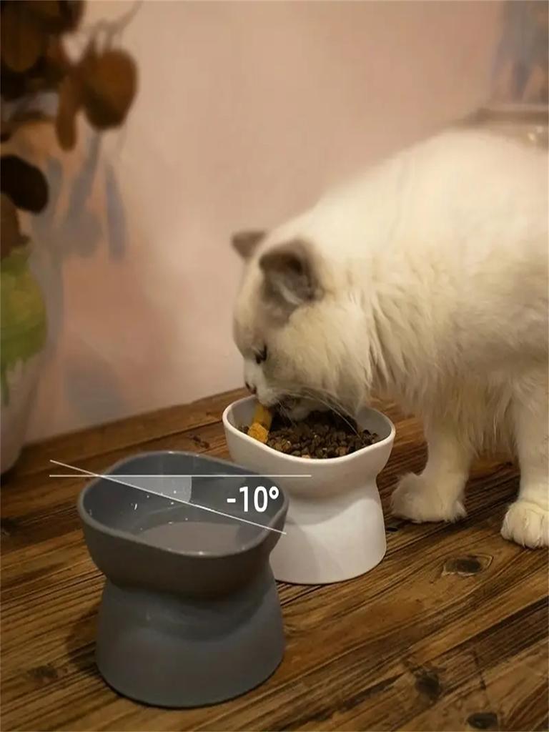 1 Cat Bowl Tall Drinking Dish Cat Pet Food Water Bowl Pet Feeding Cup Pet Feeding Bowl Pet Cat Feeding Supplies