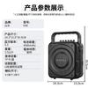 SANSUI K58 Portable Bluetooth Outdoor Speaker (CN Version)