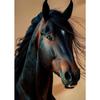 Handsome Horse Wild Animal Poster Horses Portrait Photography Canvas Painting Modern Wall Art  for Living Room Home Decor Mural