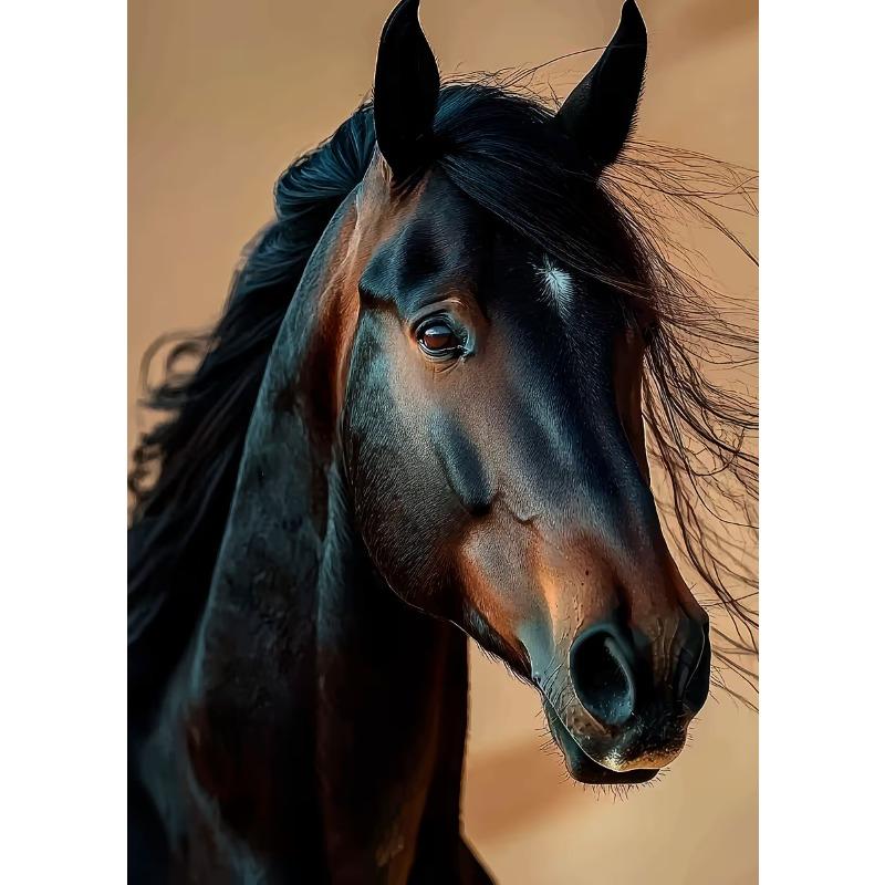Handsome Horse Wild Animal Poster Horses Portrait Photography Canvas Painting Modern Wall Art for Living Room Home Decor Mural