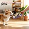 Dog Housebreaking Toy Sneaker Shape Chew Toy, Interactive Pet Tug with Tough For Dogs Squeaker, Oxford Cloth Bite Resistant for Small Medium Rope