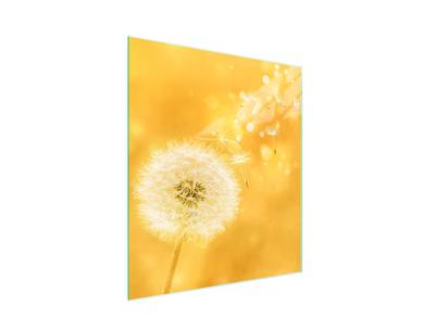 GLASS CUTTING BOARD 45x52 Flower