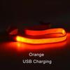 LED Light Up Dog Accessories Leash Luminous Rope Lead Leash For Dog Safety Flashing Glowing Dog Collar Harness Electronic Pet