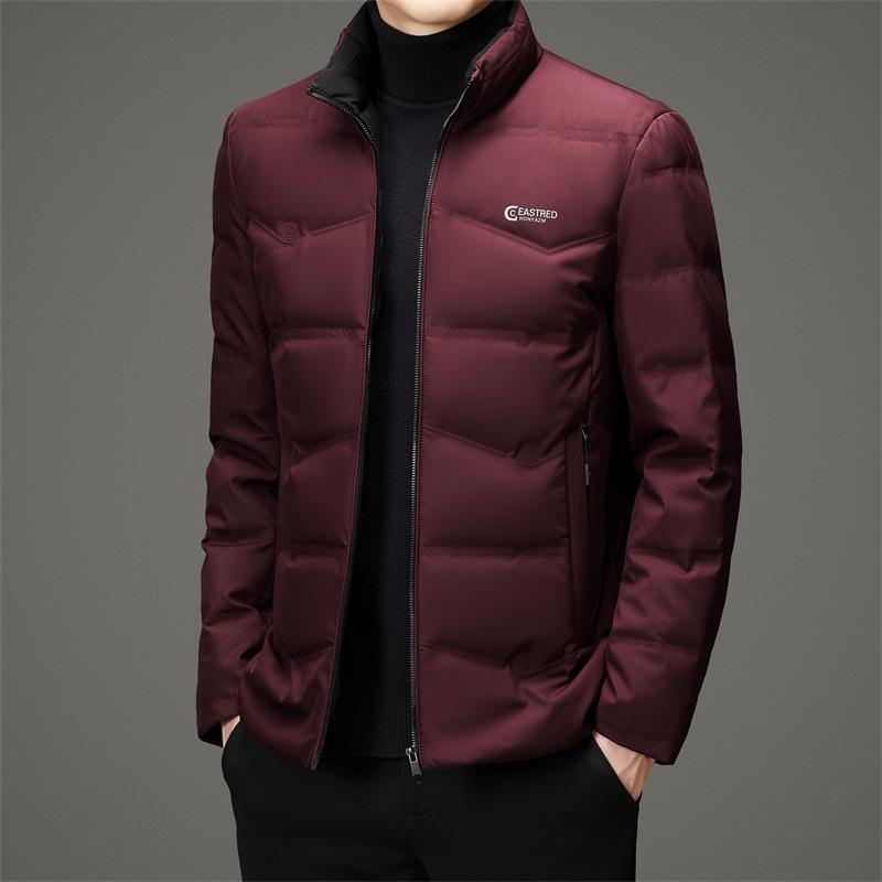 New Autumn and Winter Men's Down Jackets, Fashionable, Casual, Versatile, Middle-aged Dad Wear, Stand-up Collar, Warm Down Jackets