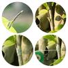 5Pcs Grafting Tape Grafting Film for Plant Stretchable Garden Grafting Tape Plant Repair Budding Tapes for Floral