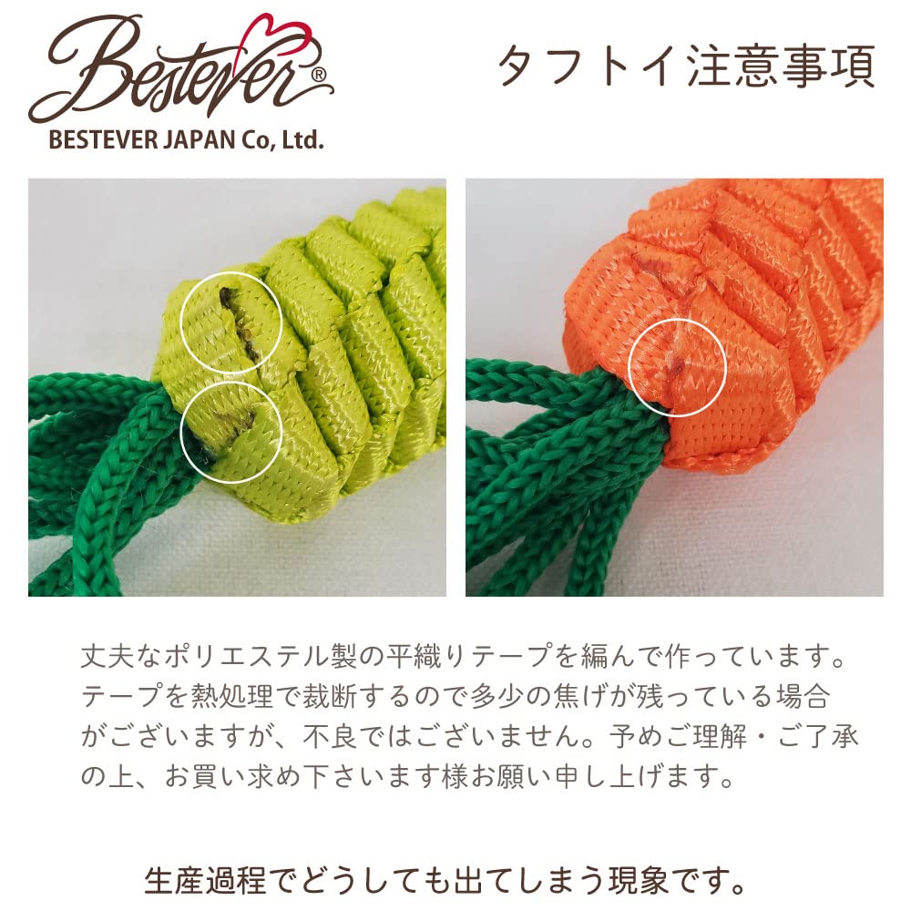 LOVE PETS by BESTEVER Robustes Spielzeug Karotte XL (47232)