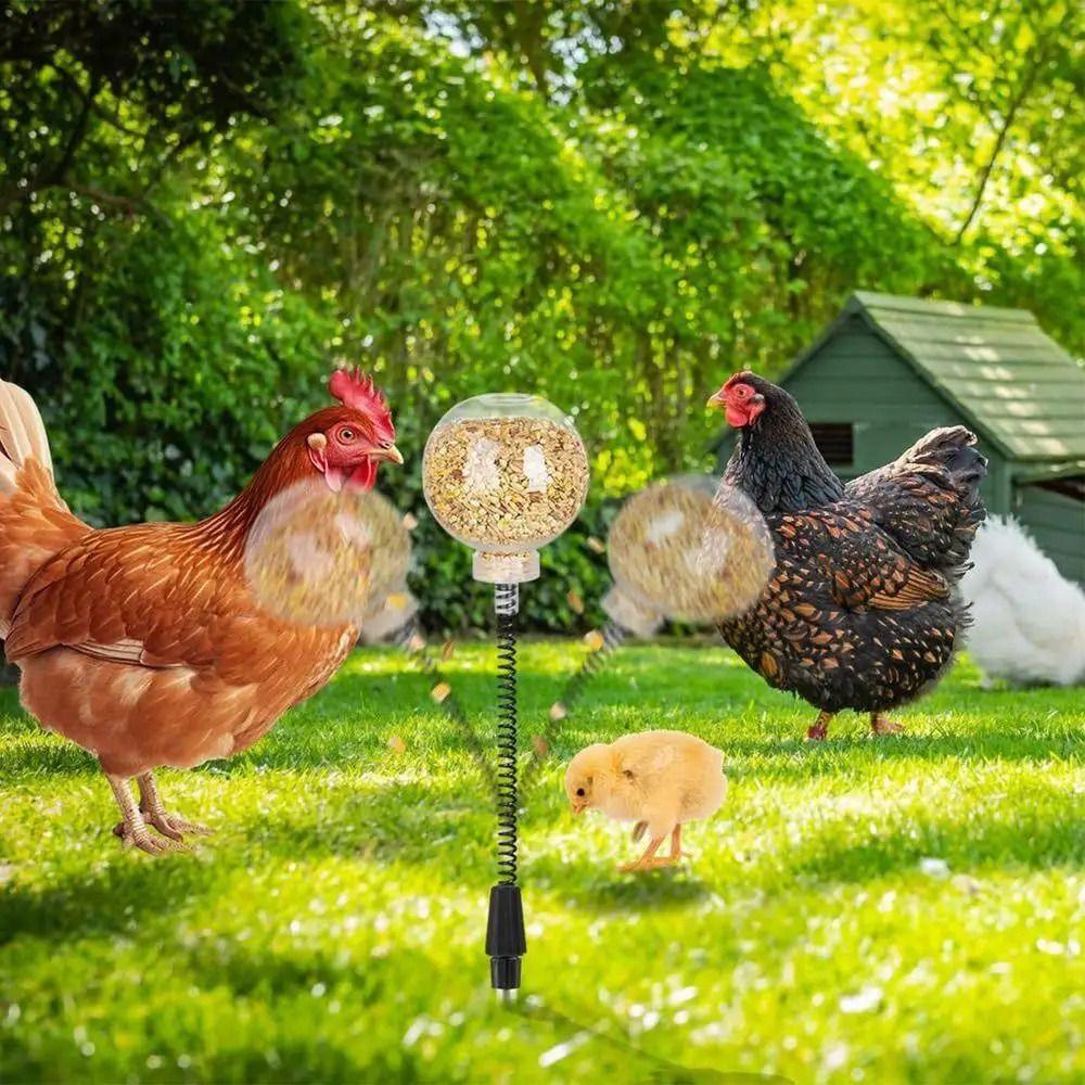 2Pcs Bite Resistant Chicken Swing Feeder Creative Poultry Treat Dispenser  Henhouse