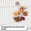 Rotate Pet Parrot Toys, Wheels, Bite Chewing, Foraging Food Box, Cage Feeder, Birds Accessories
