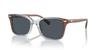 Sunglasses HC8398U CR630 PECAN BLUE GRAY GRADIENT 54 [Coach] Men's