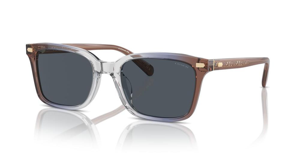 Sunglasses HC8398U CR630 PECAN BLUE GRAY GRADIENT 54 [Coach] Men's