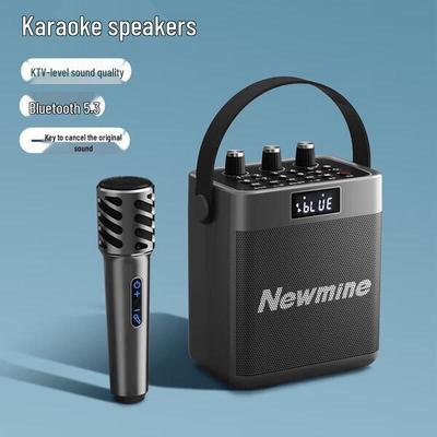 Newman K519 Portable Bluetooth Karaoke Speaker CN Plug (adapter Included)