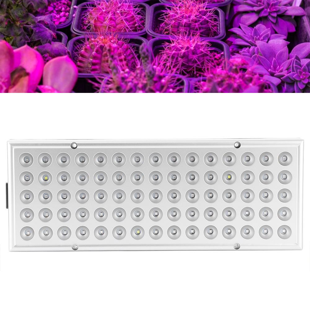 Plant Growth LED Light Full Spectrum Growing Lights for Greenhouse Horticulture