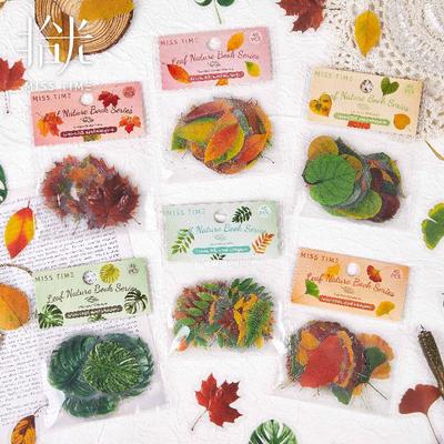 Shí Guāng Leaf Natural Series: Tree-Themed Journal Scenery Stickers (6 Styles)