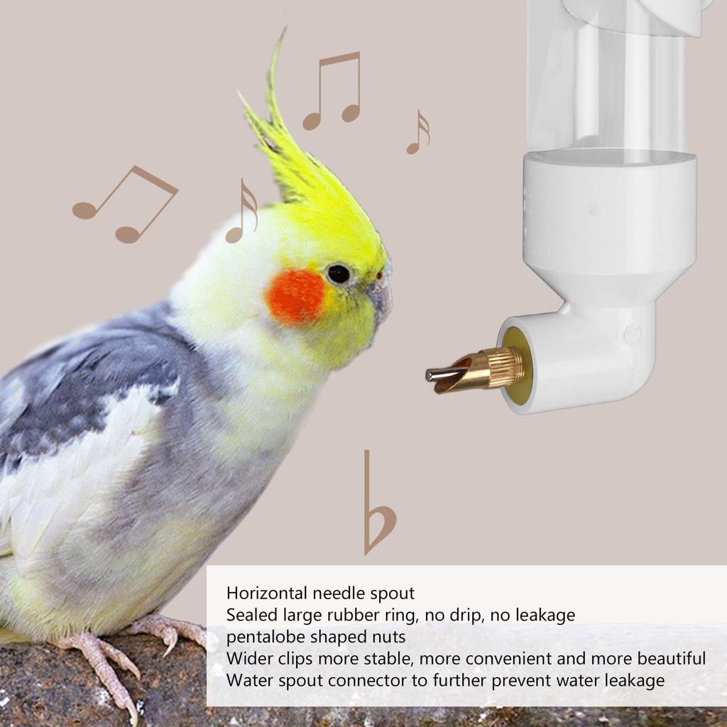 Automatic Drinking Device Safe Acrylic Bird Drinking Water Bottle Bird Water Feeder for Small Medium Large