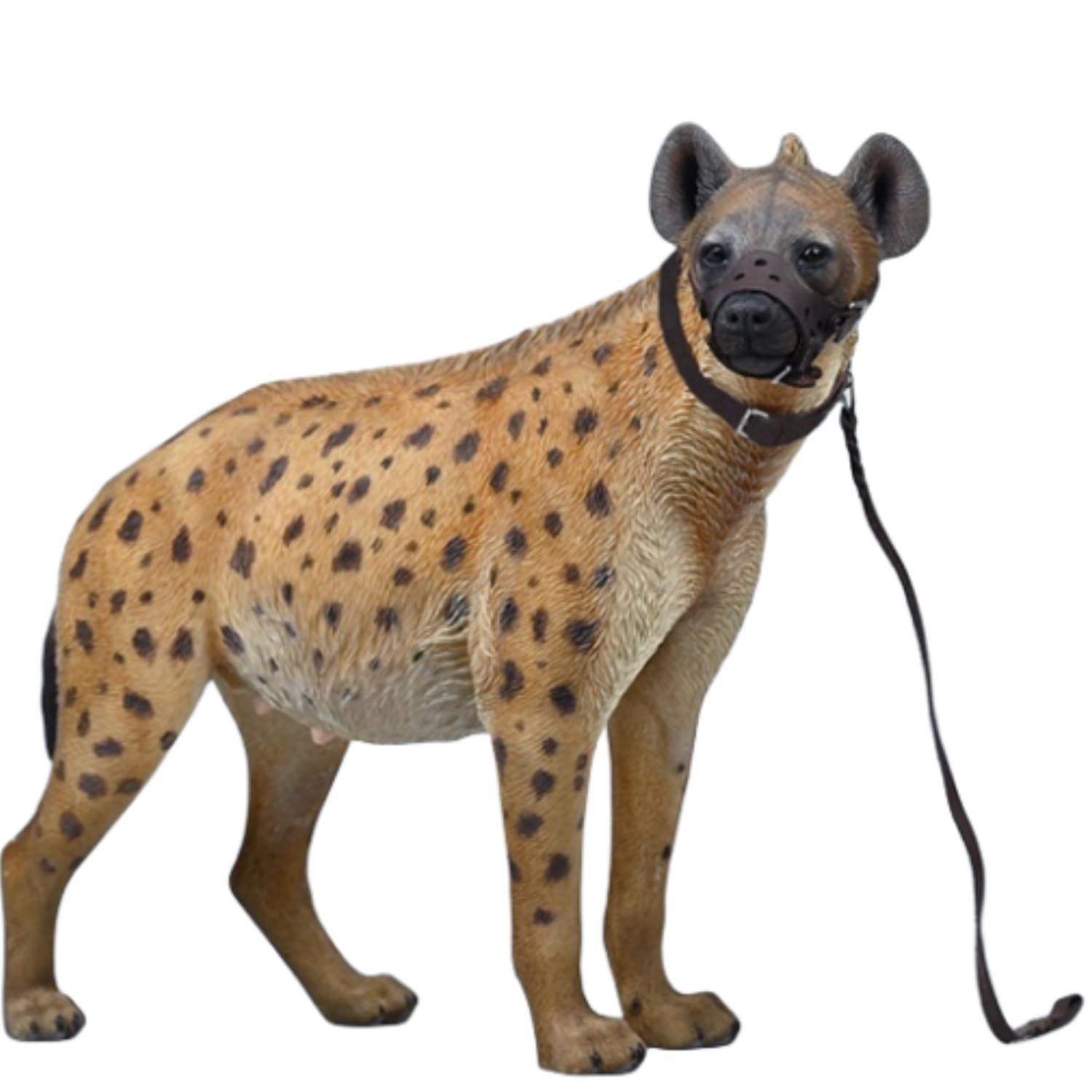 

HiPlay JXK 1/6 Scale Hyena Wild Animal Figure JXK215B2, Painted and Finished, PVC