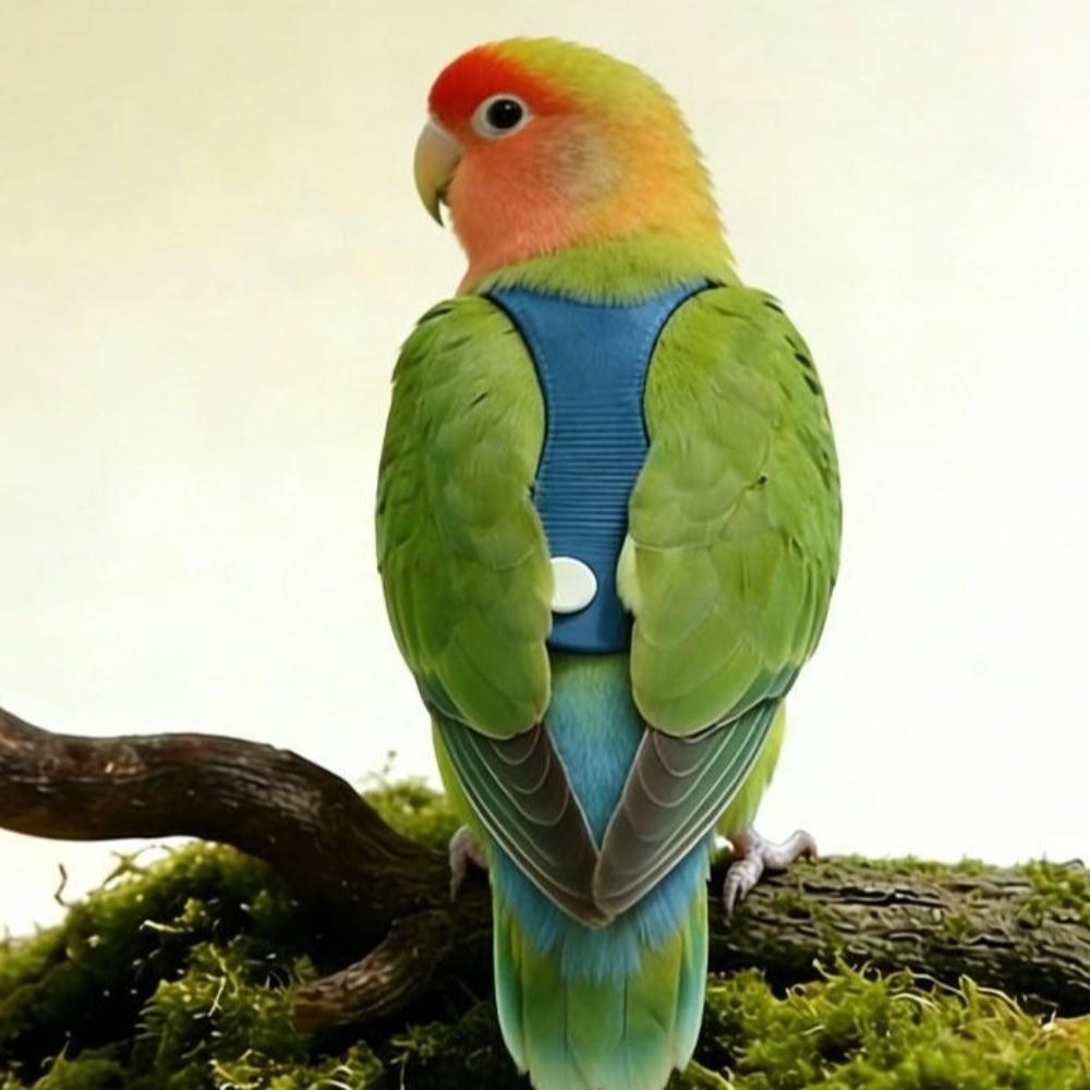 Cowboy Style Parrot Flying Harness Safety Bird Flight Suits Creative Parrot Outdoor Leashes Travel