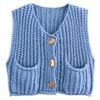 11 Colors 2025 Autumn Cross-border New Vest, Thick Stick Needle Three-button Pocket V-neck Knitted Sleeveless Cardigan Vest