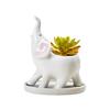 Elephant Decorative Ceramic Flower Pot for Succulents – Mini Cactus Planter with stand, Elegant Home Garden Decor