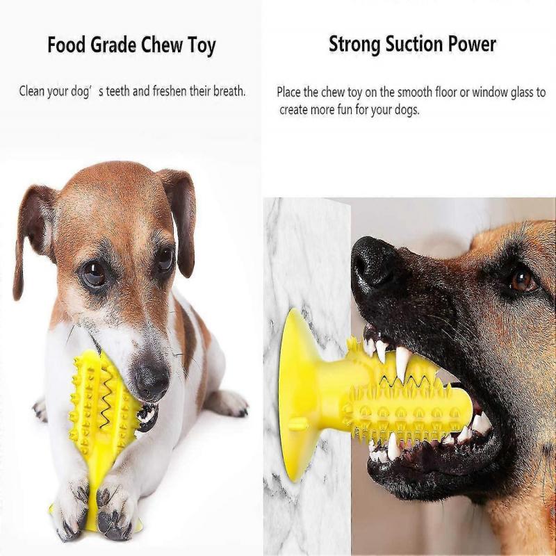 Dog Chew Toothbrush Multi-use Dog Chew Toy Teething Dog Chew Teeth Clean