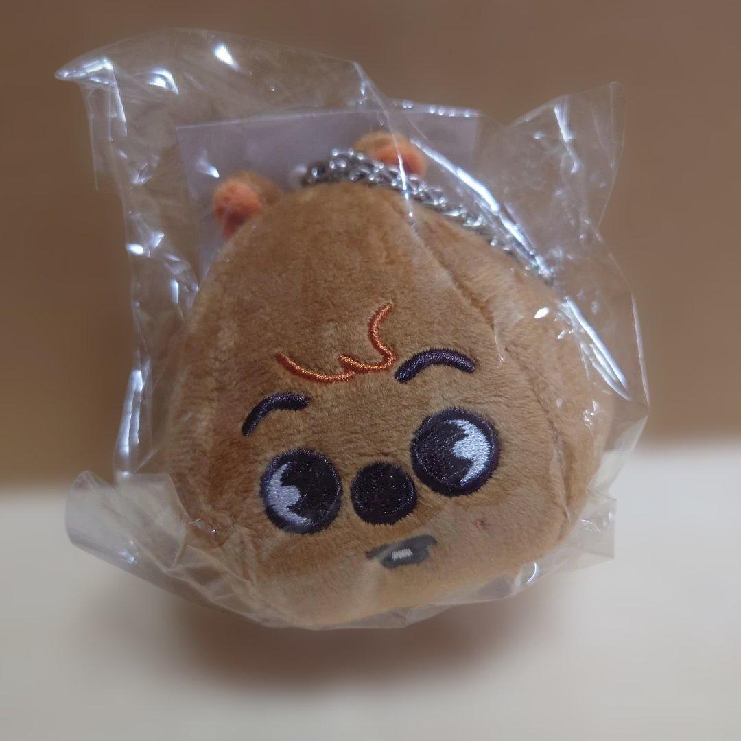

[USED] Stray Kids Hank Okka Back Charm