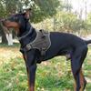 Tactical Anti-Pull Dog Harness & Leash for Medium to Large Breeds - Ideal for Border Collies & Golden Retrievers