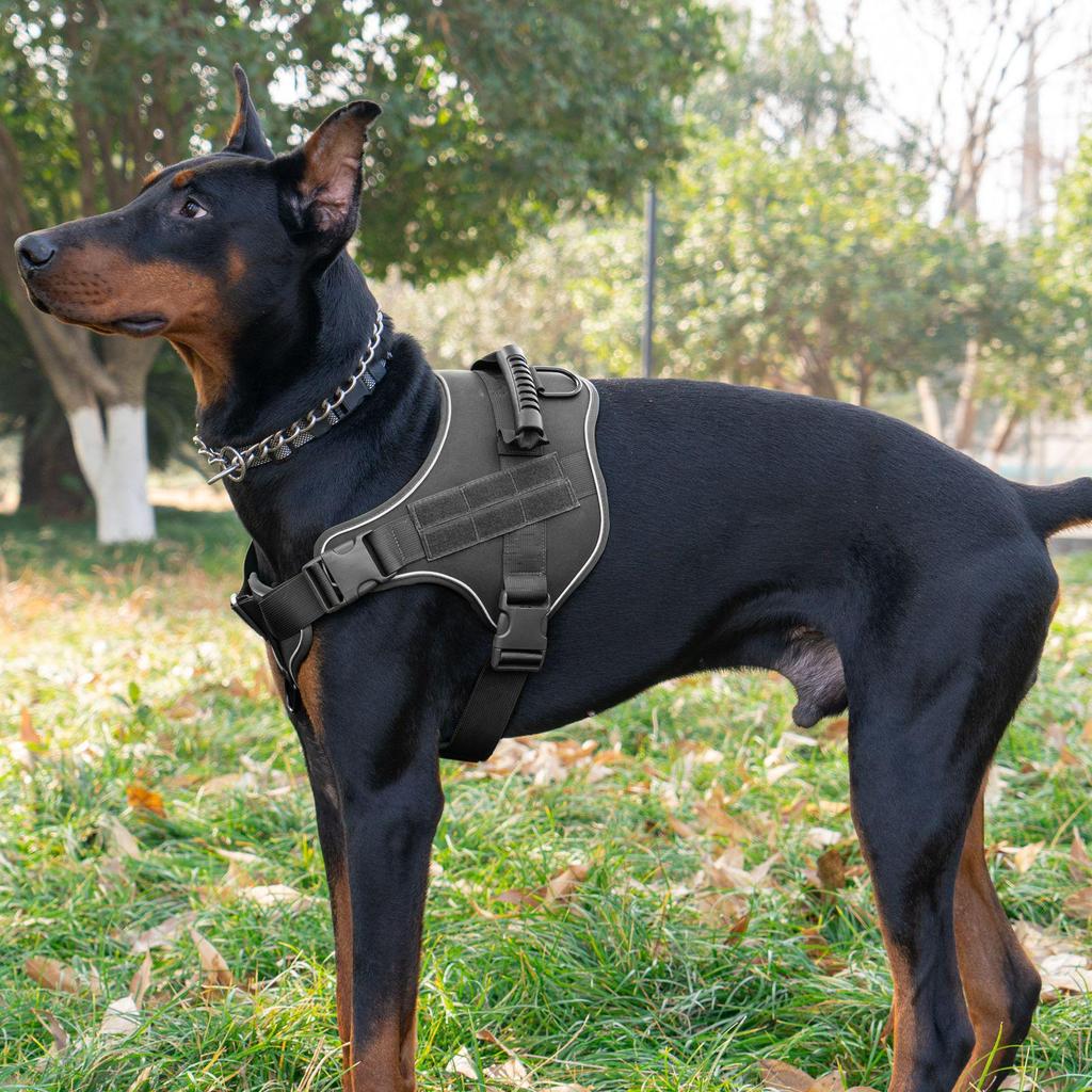 Tactical Anti-Pull Dog Harness & Leash for Medium to Large Breeds - Ideal for Border Collies & Golden Retrievers