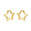 3D Geometric Hollow Star Earrings: Niche Design, Sweet & Cool Style