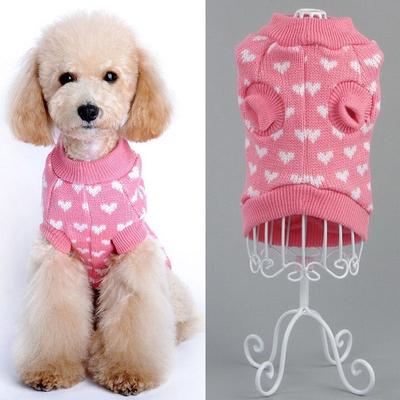 teacup puppies clothes