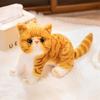 Lifelike Garfield Cats Plush Toys 4 Styles Simulation Stuffed Cute Soft Kitty Doll Pet Kitten Pillow Decoration Birthday Gift