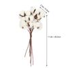1Set Natural Dried Cotton Flower Branch White Cotton Branch Picks DIY Artificial Flower Bouquet lliving room ornament home deco