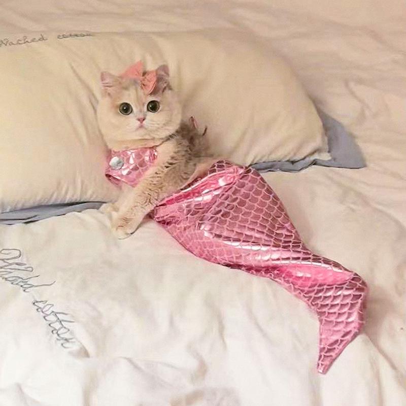 Mermaid Cat Swimsuit: Cute Fish Tail Bikini Costume for Pets