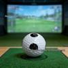 Golf Simulator Practice Ball with Black Recognition Dot, 2-Piece Design for Data Tracking