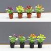 3pcs New 1:12 Dollhouse Miniature Potted Plant Multistyles Mini Bonsai Garden Home Model Play House Decor Doll House Accessories