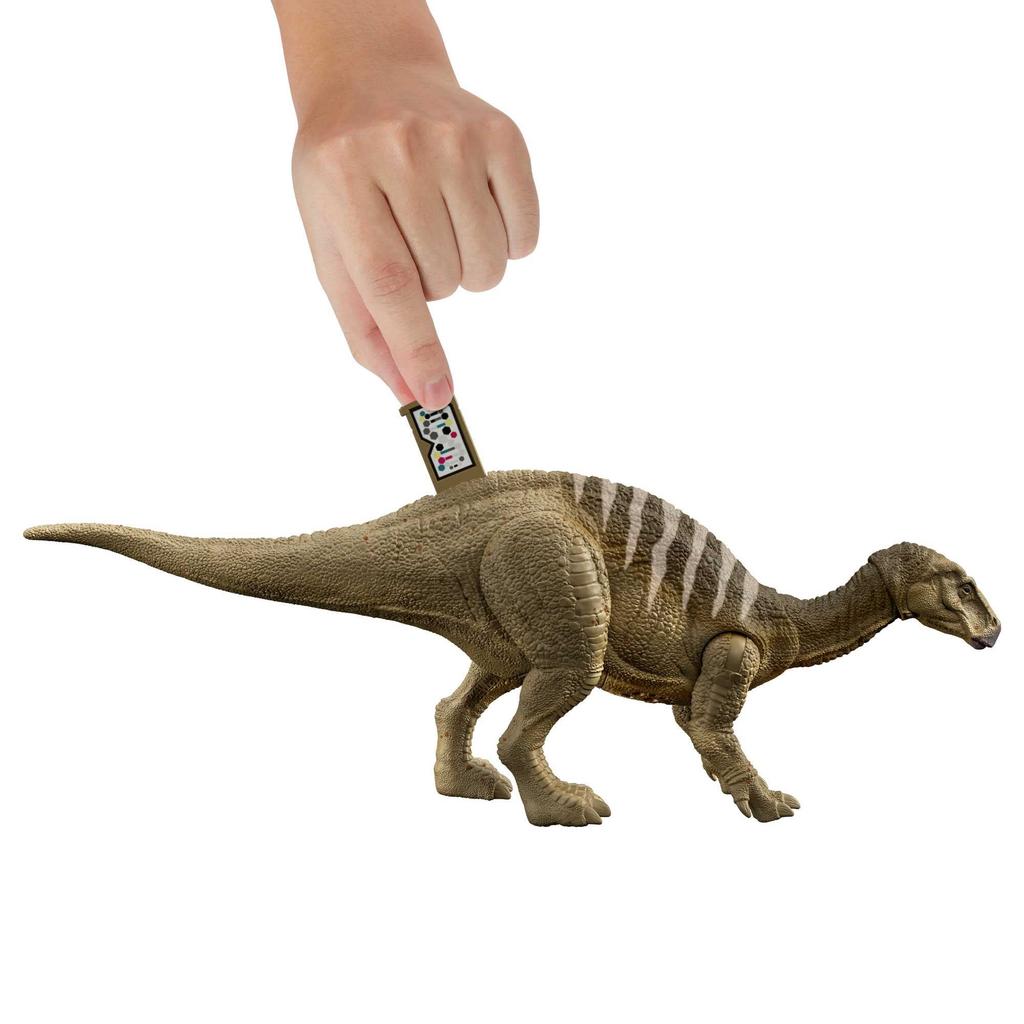 Mattel Jurassic World New Ruler Action Roaring Iguanodon Ages 4 and HDX41 Figure, (Length Approx. 29.4cm), Up,