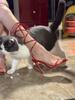 Fashion Summer New Arrival Thin Heel Red Strap Cross Sandals Women's Open Toe Hare One-Shoe Belt Bed Sexy High Heel Shoes