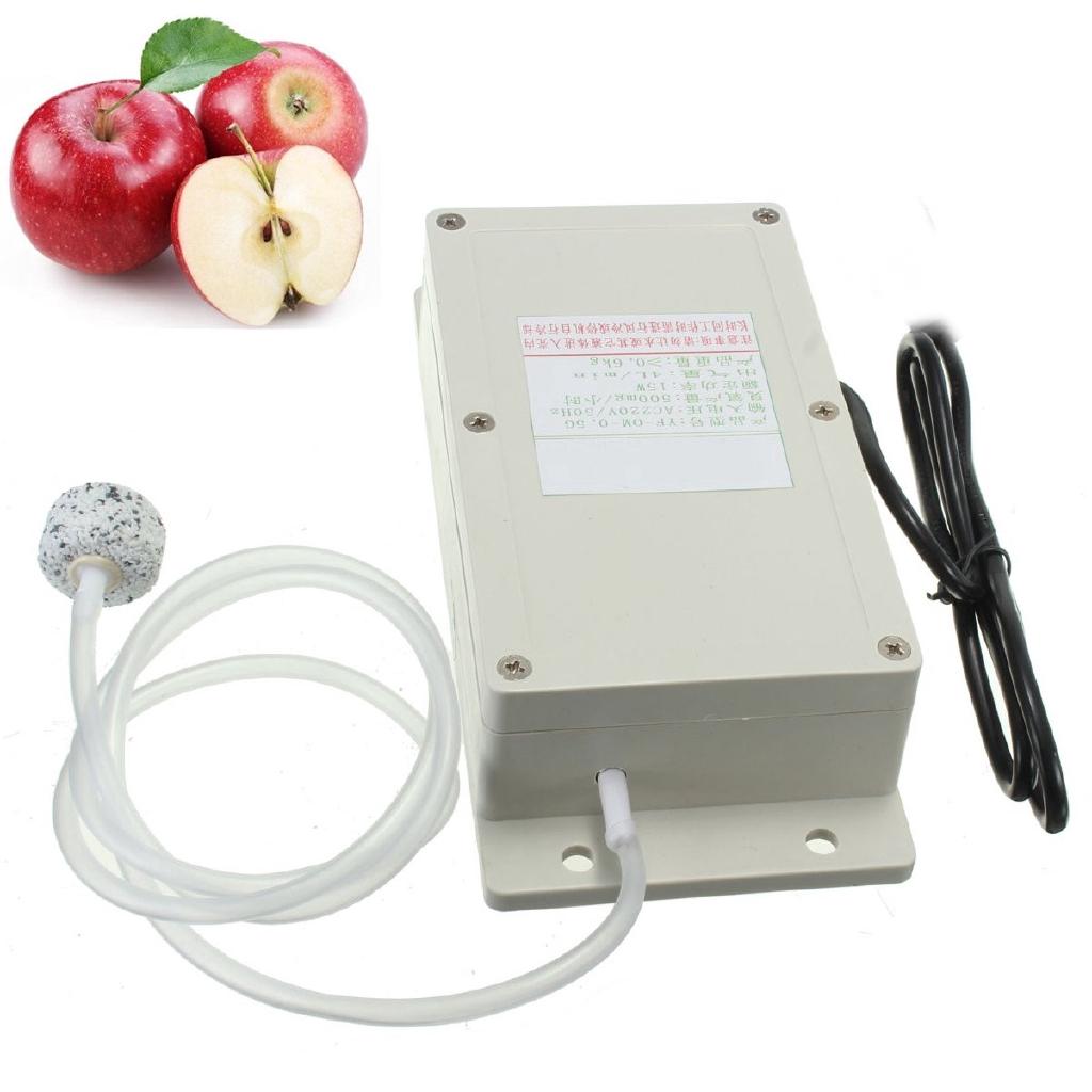 AC220V/50Hz 500mg Air Purifier Disinfecti Air Food Fruit Vegetable Water Fish Tank Disinfector