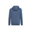 Adidas Originals Grade School Sweatshirts Hooded Moderate (Unisex) Sweatshirts HK0283