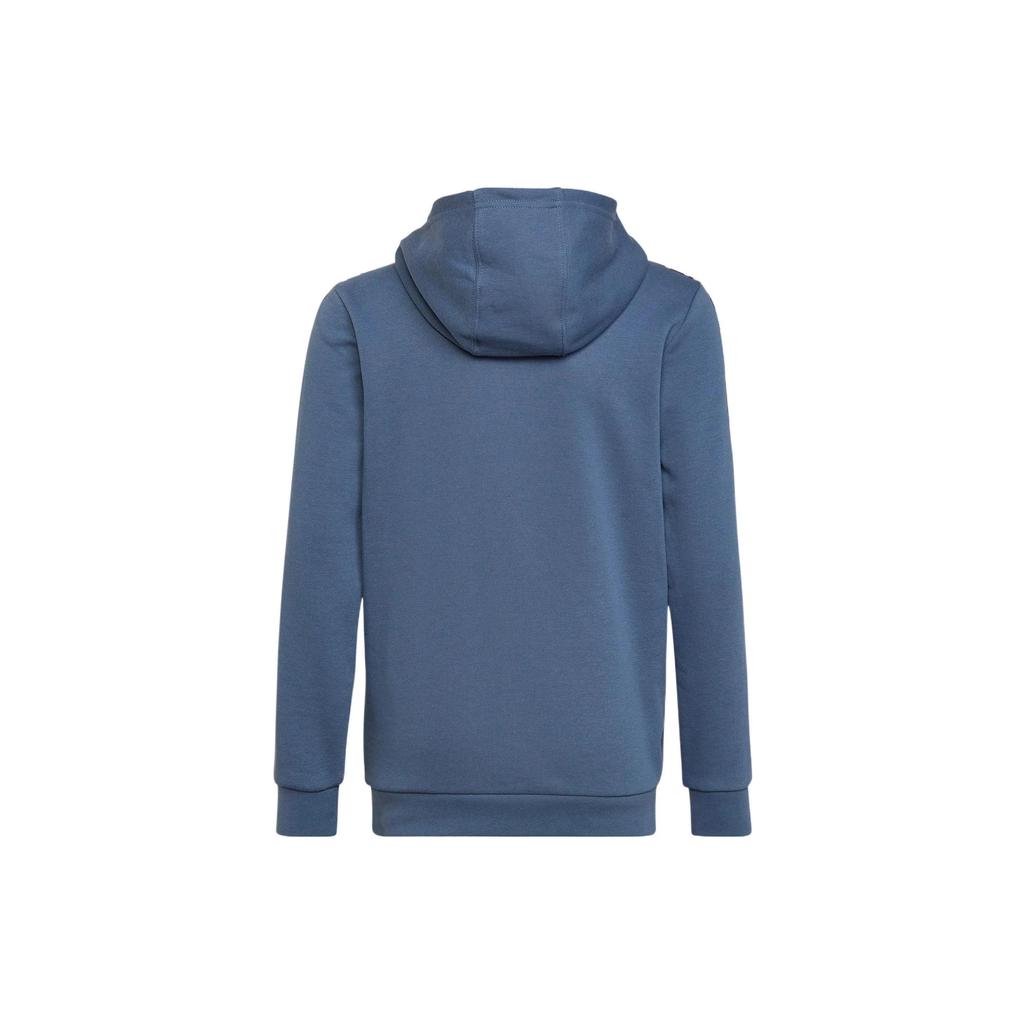 Adidas Originals Grade School Sweatshirts Hooded Moderate (Unisex) Sweatshirts HK0283