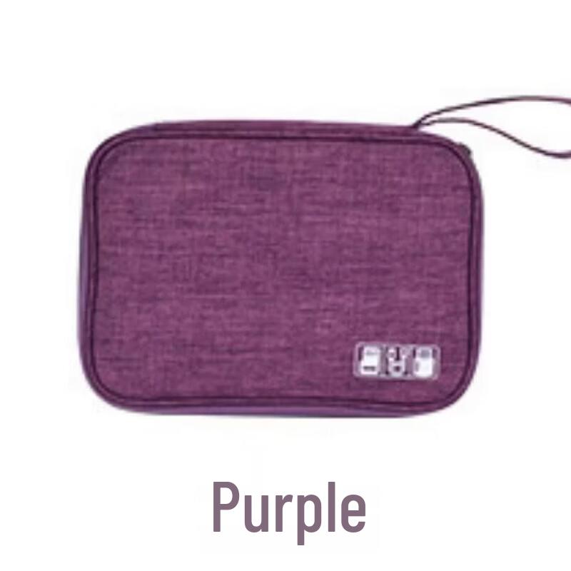 Portable Electronic Organizer Pouch