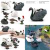 Figures Animal Realistic Model With Ducks Rooster Swans For Decorative Display