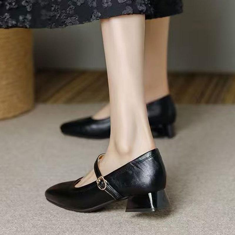 Temperament high heels square head thick heel light mouth single shoes spring 2025 new French retro Mary Jane women's shoes