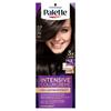 Palette Intensive Color Creme Permanent Hair Dye, No. 4-0 Medium Brown