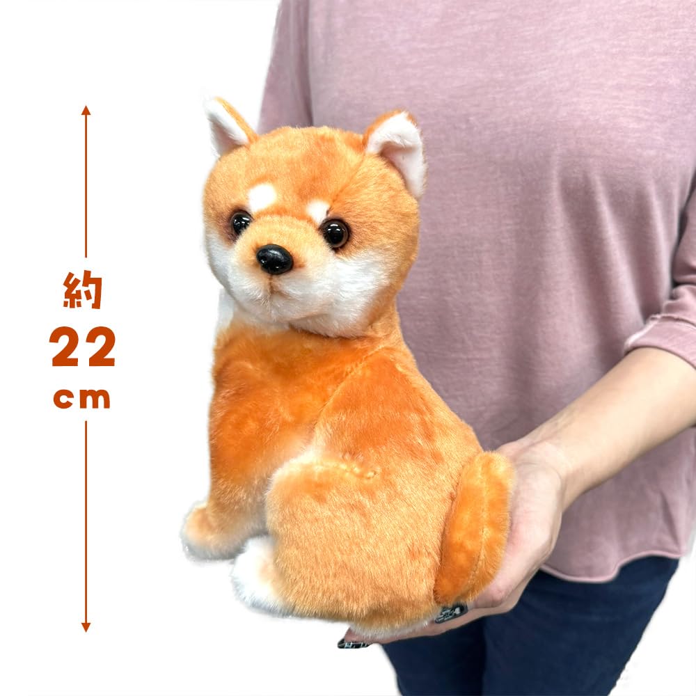 Come Here Shiba Inu Plush Toy Cute Shiba Inu Goods Approx. 22cm (Komugi (Orange))