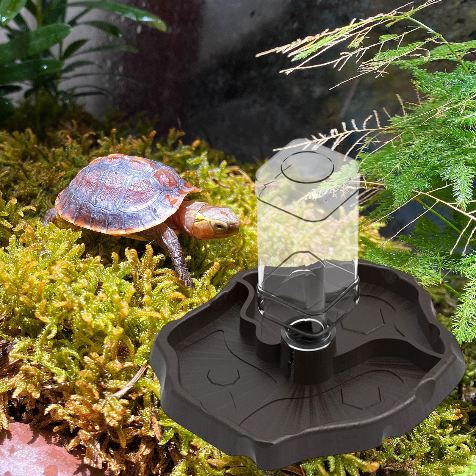 

Automatic Water Dispenser for Reptiles with Feeding Bowl Tortoises кавовий