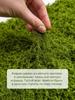 Stabilized moss 400 g 1 pc green